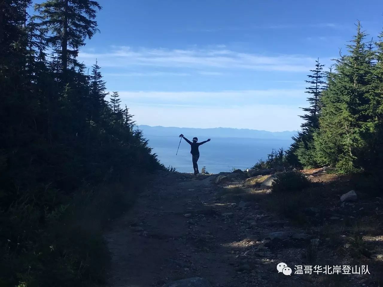 东海暴熊队对阵南城雪豹队，UFC附加赛小胜，细节决定成败——快速转换撕裂防线
